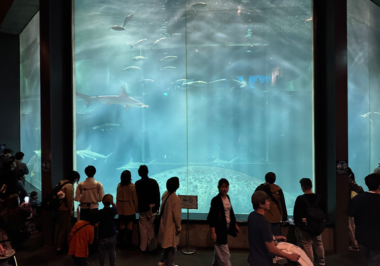 葛西臨海公園 水族館