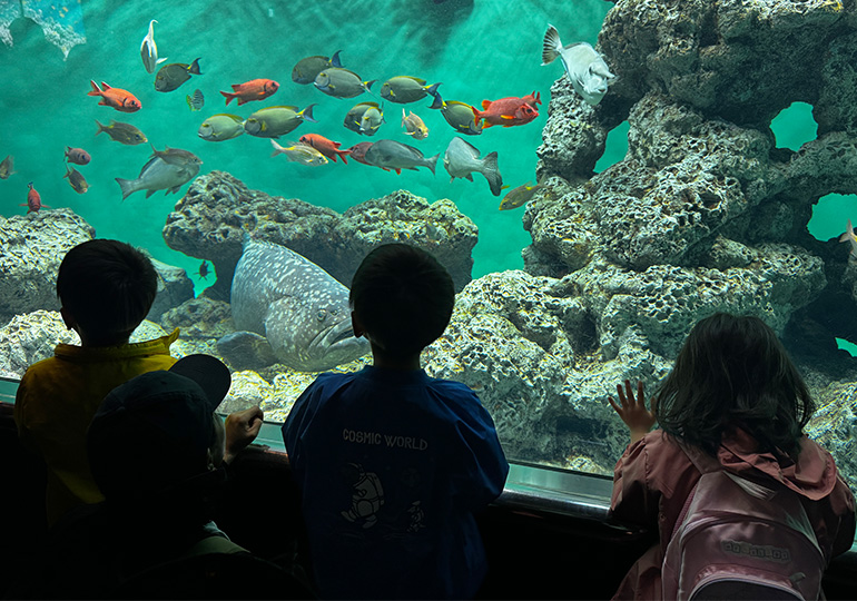 葛西臨海公園 水族館