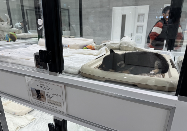 ららぽーと東京ベイ北館 ペット