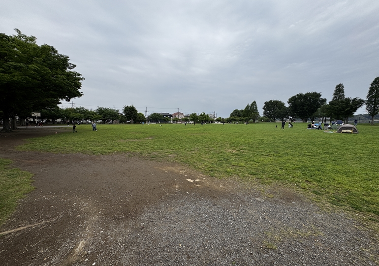 手賀沼公園の広場