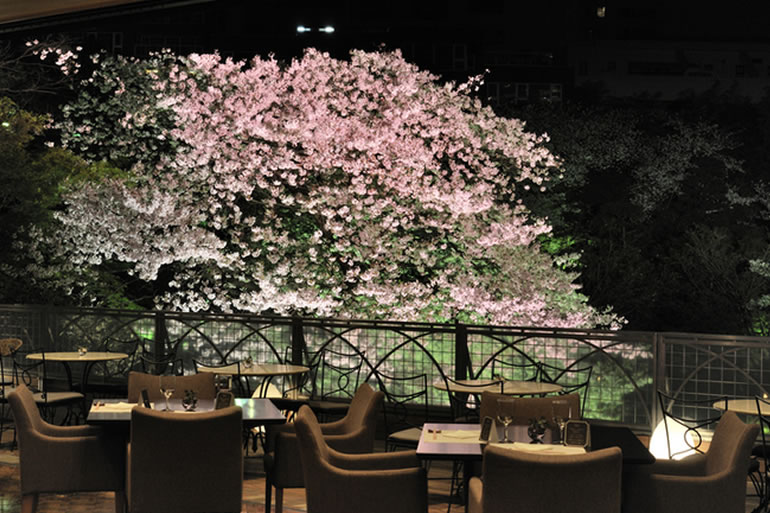スラッシュカフェ 桜