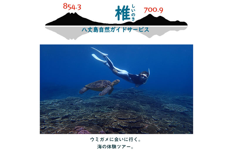 しいのき