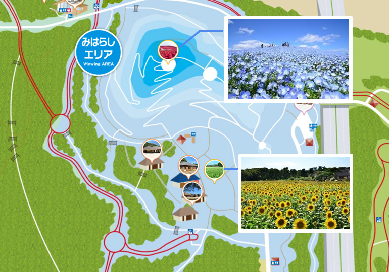 国営ひたちなか公園