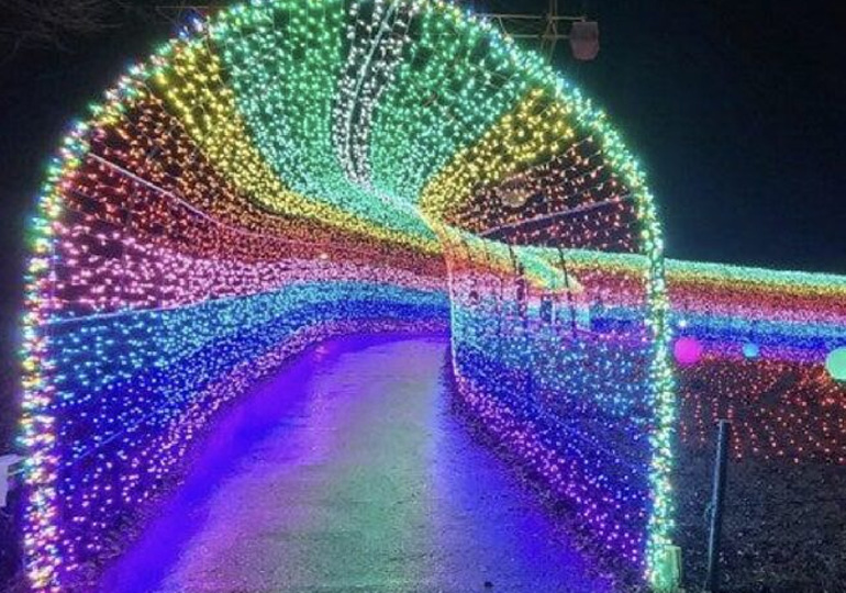 ドイツ村　イルミネーション