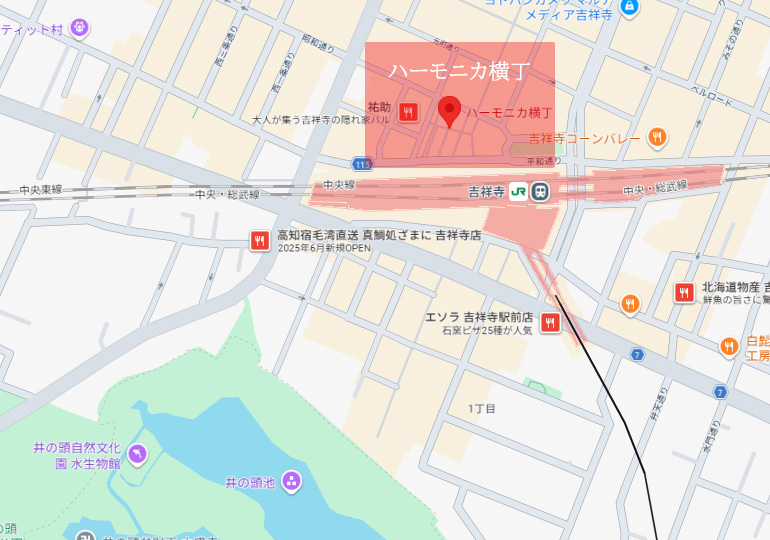 ハモニカ横丁場所